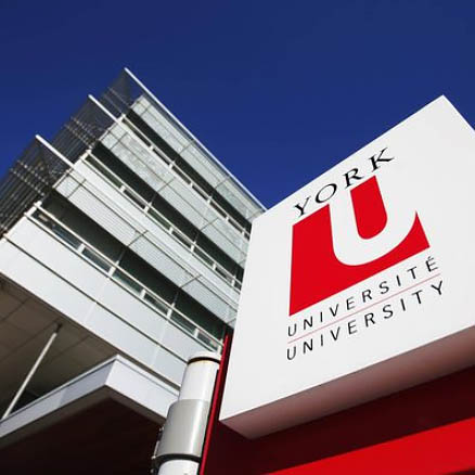 Workers with CUPE 3903 accept York University offer, head back to work Monday
