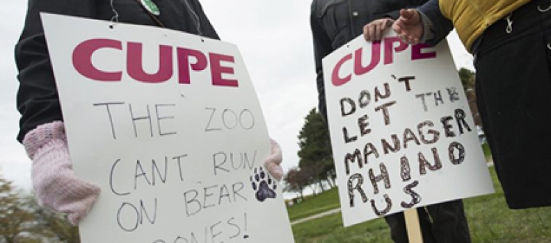 Toronto Zoo, striking staff head back to the table