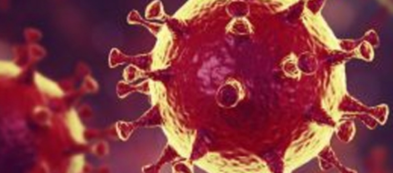 How should Canadian employers be responding to the coronavirus?